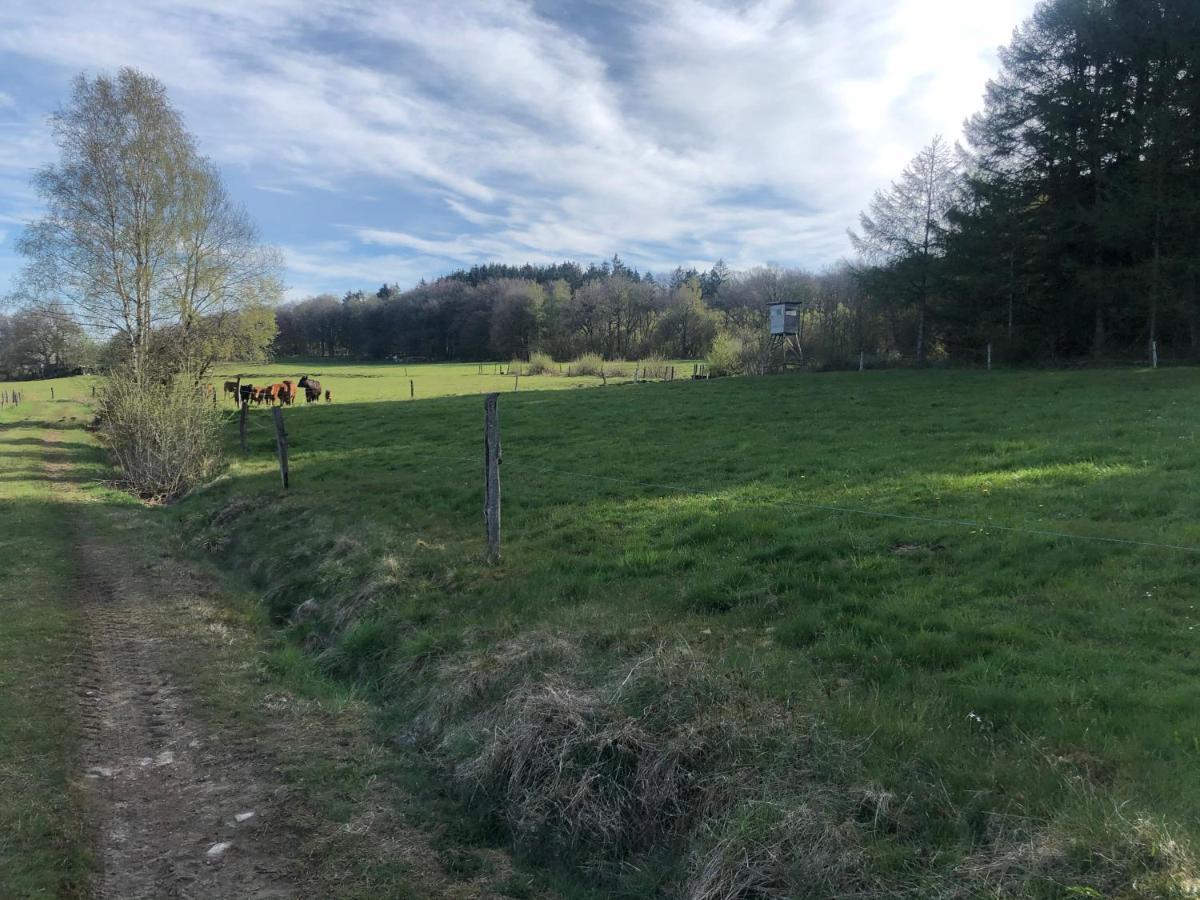 Ferienwohnung Am Wald Hachenburg Eksteriør bilde