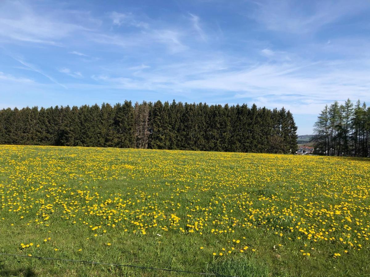 Ferienwohnung Am Wald Hachenburg Eksteriør bilde