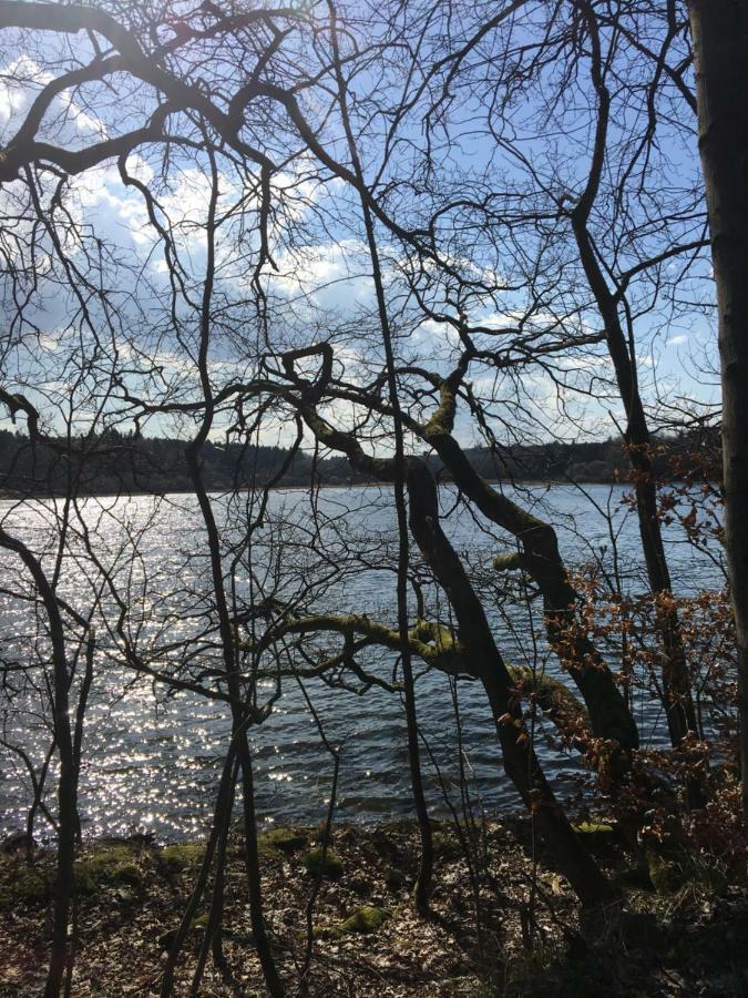 Ferienwohnung Am Wald Hachenburg Eksteriør bilde